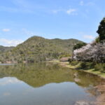 遍照寺山と広沢池