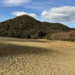 遍照寺山と広沢池