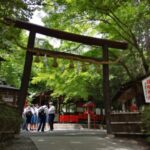 野宮神社　黒木の鳥居